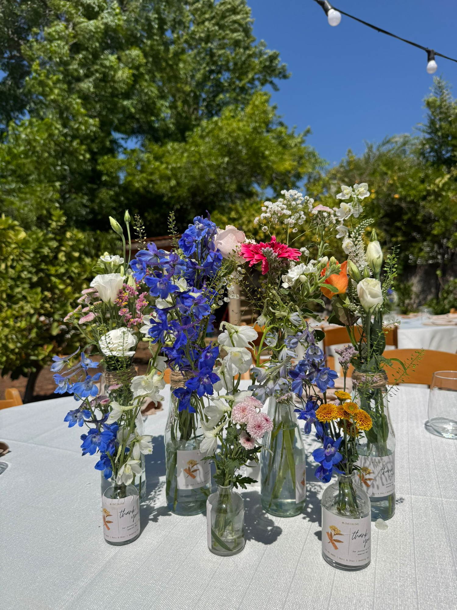 סידורי שולחן 14