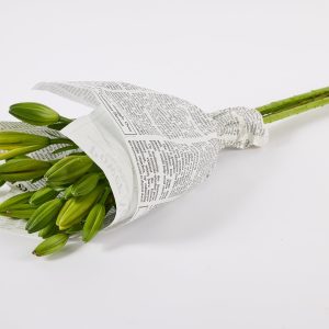 באנץ׳ ליליות צבעוני