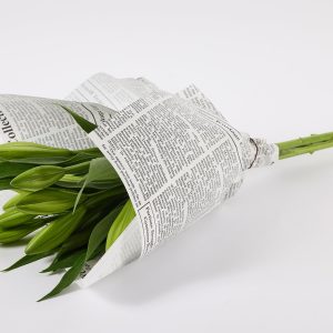 באנץ׳ שושן צחור