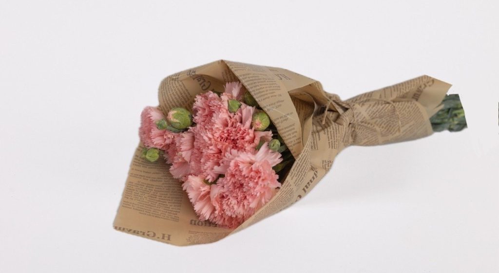 באנצ׳ ציפורן אמריקאית