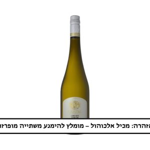 יין קפיטל לבן