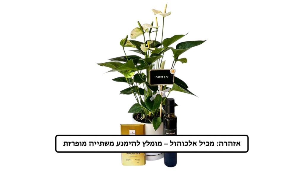 מארז אונטוריום חגיגי