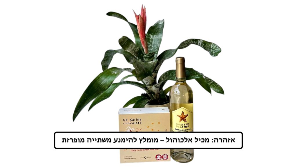 מארז אכימאה חגיגי