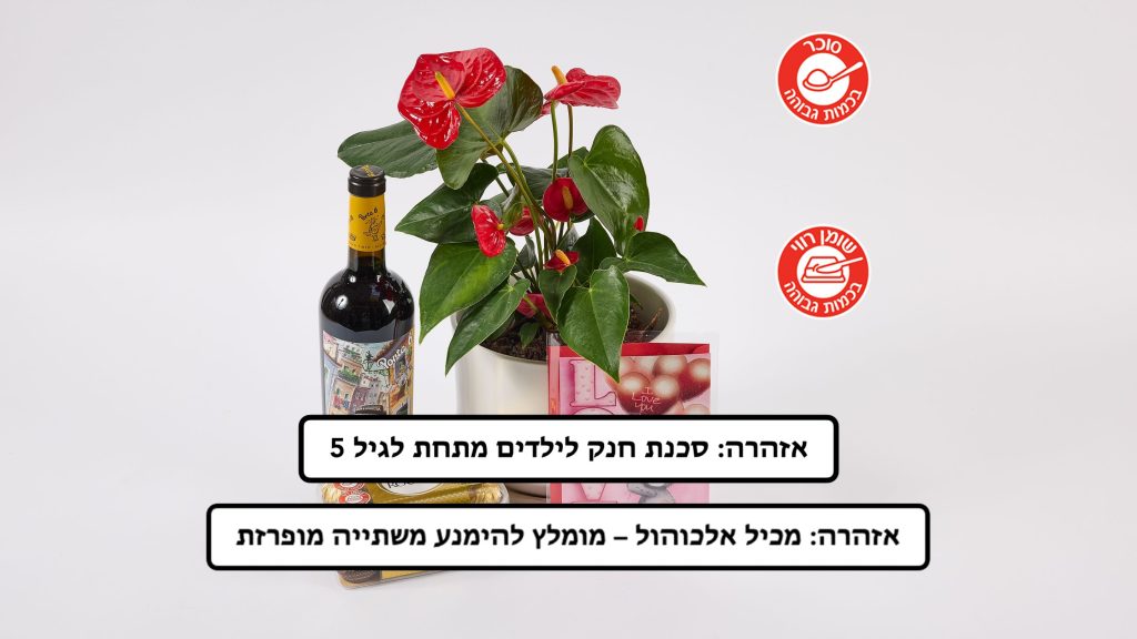 מארז אנטוריום בכלי, יין ופררו רושה
