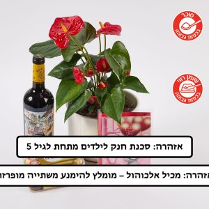 מארז אנטוריום בכלי, יין ופררו רושה