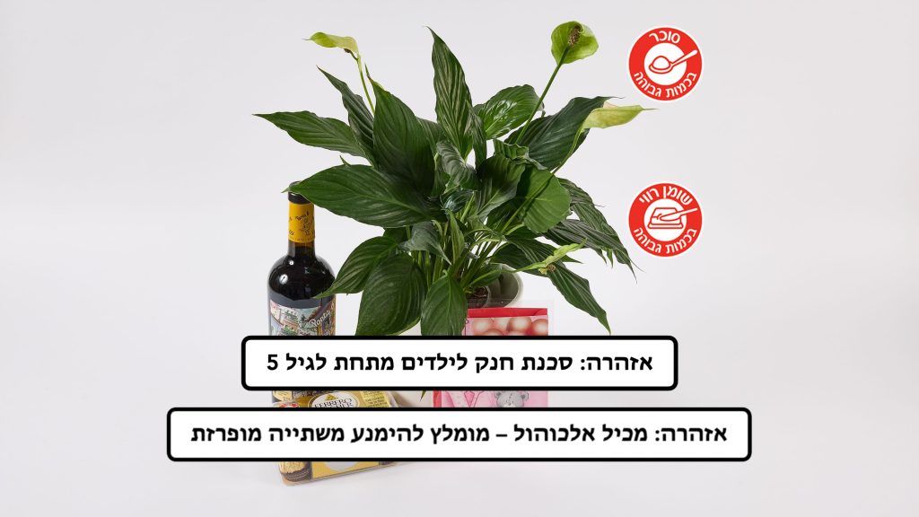 מארז ספטיפיליום בכלי, יין ופררו רושה