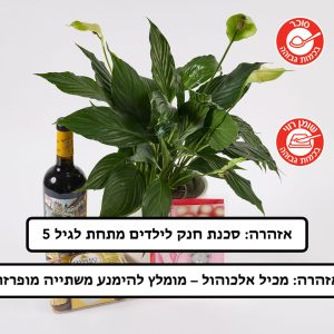 מארז ספטיפיליום בכלי, יין ופררו רושה