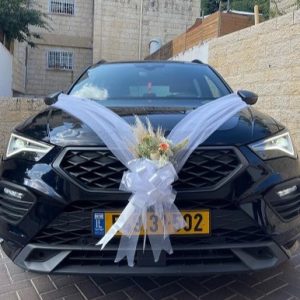 עיצוב בפרחים מיובשים