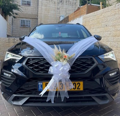 עיצוב בפרחים מיובשים